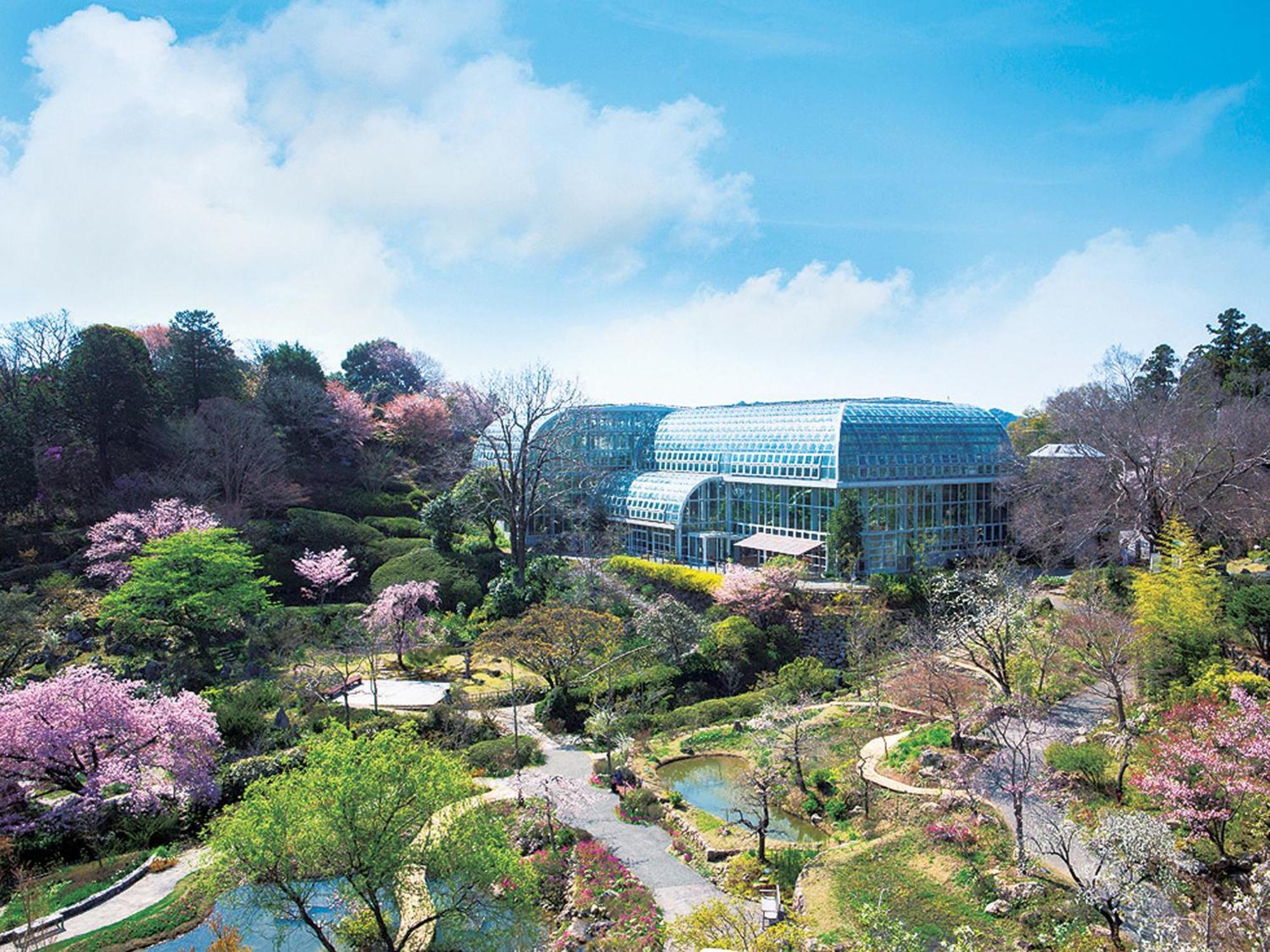 The Crown Palais New Hankyu Kochi Extérieur photo